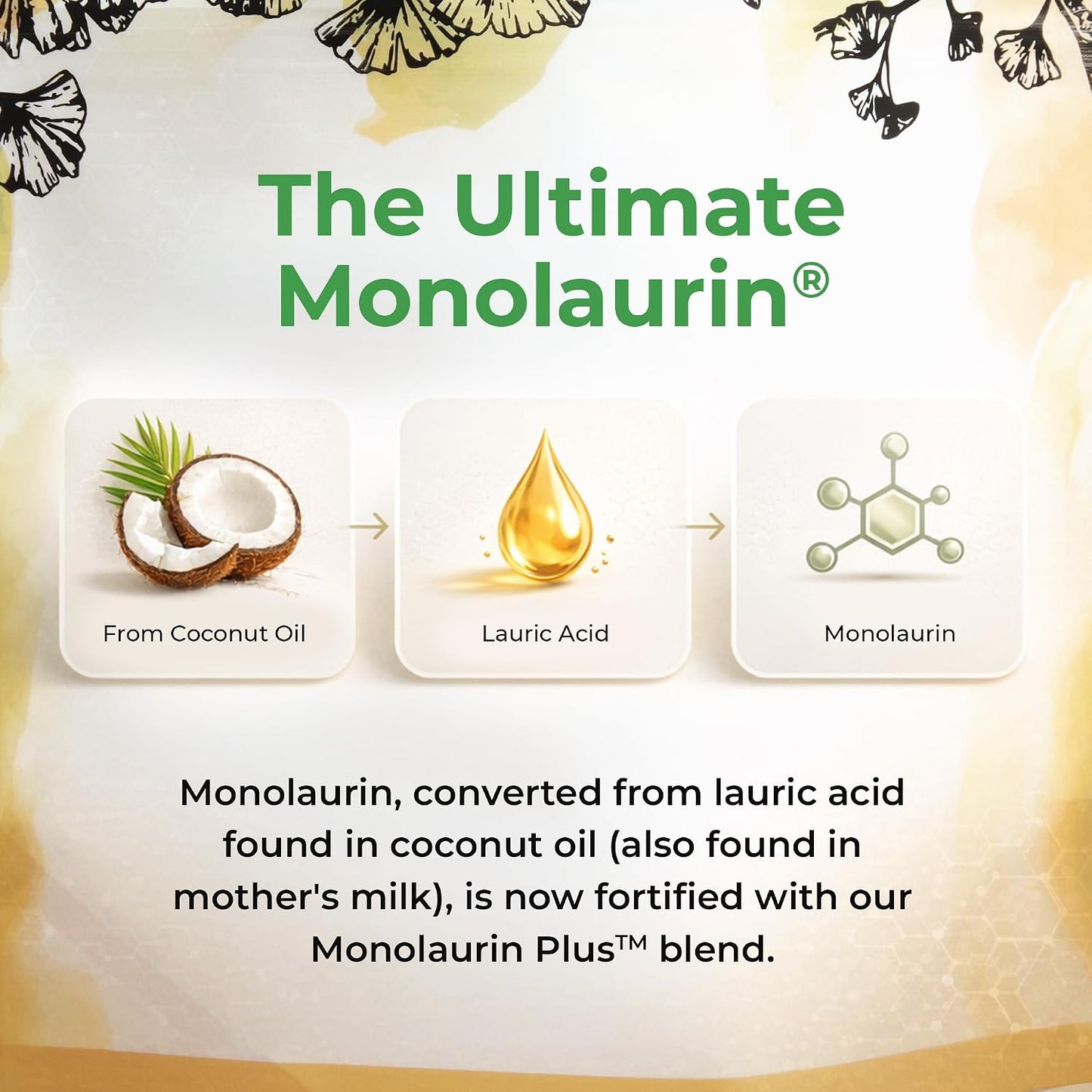 UltraLaurin® Monolaurin Supplement – 3,000 mg Coconut-Derived Pellets for Immune & Gut Health, 66 Servings - görsel 5