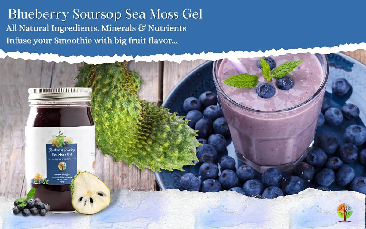 Organic Blueberry and Soursop Fruit Sea Moss – Digestive Health: Sea moss acts as a prebiotic, promoting healthy – Image 3