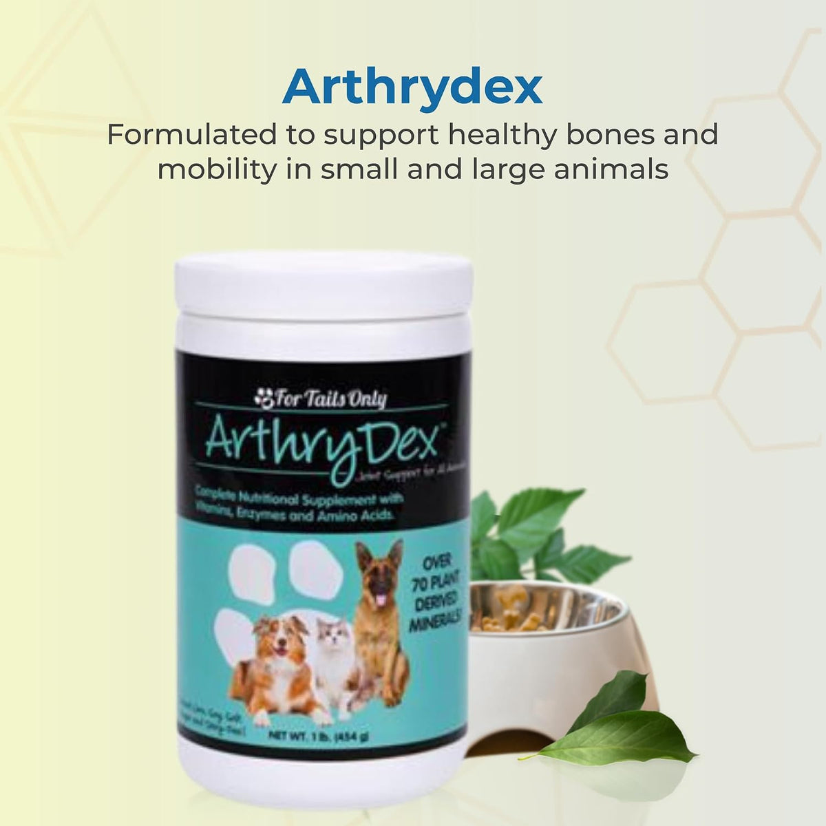 Arthrydex Complete Nutritional Supplement for Dogs and Cats – 1 lb Canister (Pack of 2) - görsel 2