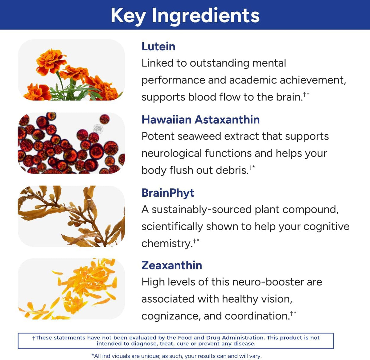 Gundry MD Power Phenols Brain Health Food Supplement - 30 Servings - görsel 4