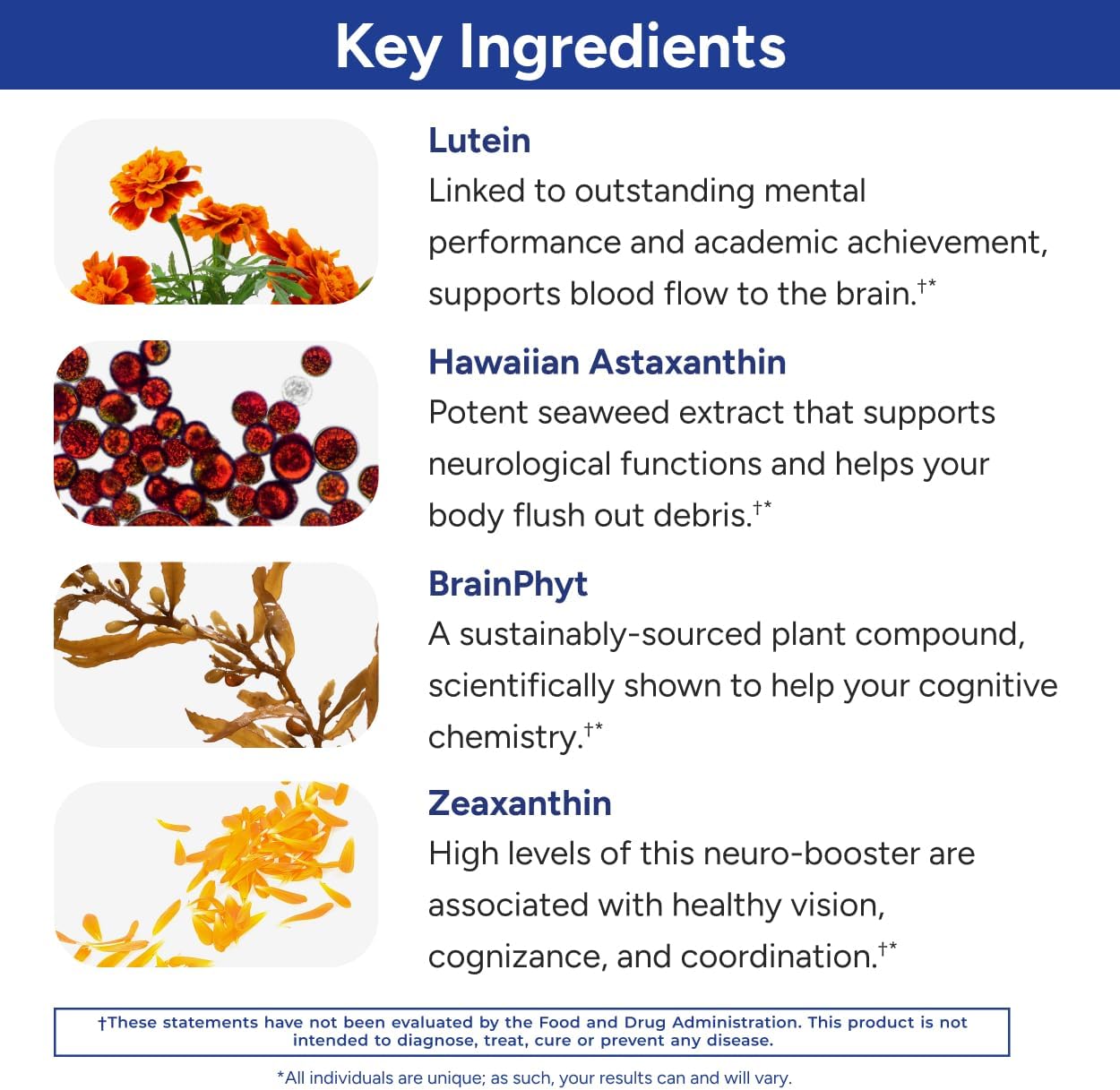Gundry MD Power Phenols Brain Health Food Supplement - 30 Servings - görsel 4