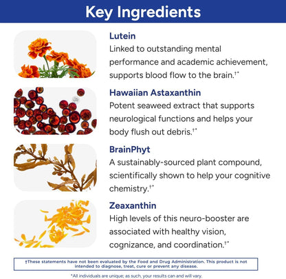 Gundry MD Power Phenols Brain Health Food Supplement - 30 Servings