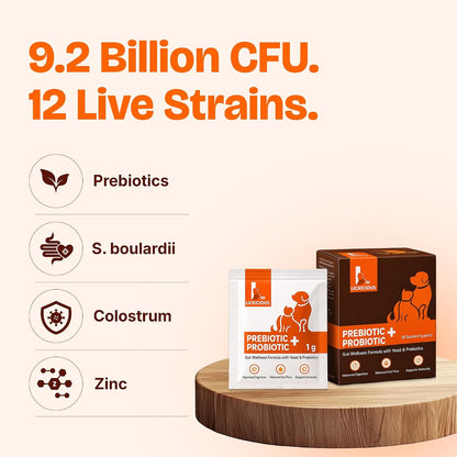 LICKICIOUS Probiotics for Dogs & Cats – Synbiotic Powder with 9.2 Billion CFU, 12 Strains, Prebiotics & Enzymes, 20 Sachets