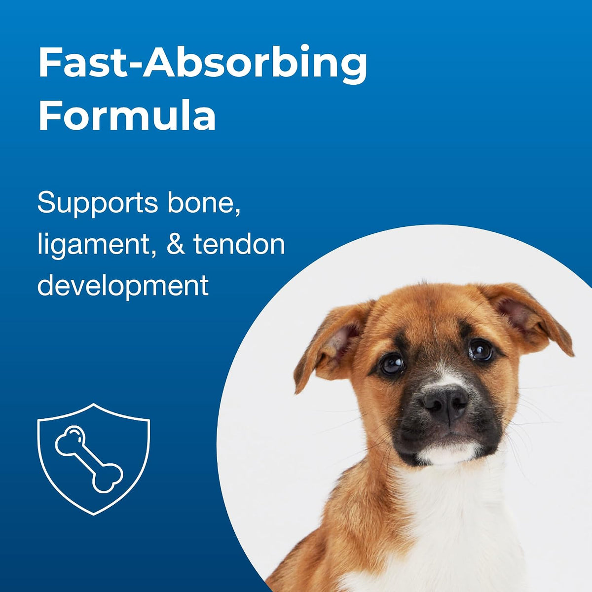 PetAg Sure Grow 100 - Promotes Optimal Bone Development in Puppies Eight Weeks and Older - with Calcium, Phosphorus, and Vitamins A & D - 100 Chewable Tablets - görsel 4