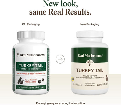 Real Mushrooms Turkey Tail Capsules for Pets – Organic Mushroom Supplement for Dogs and Cats, 90 ct