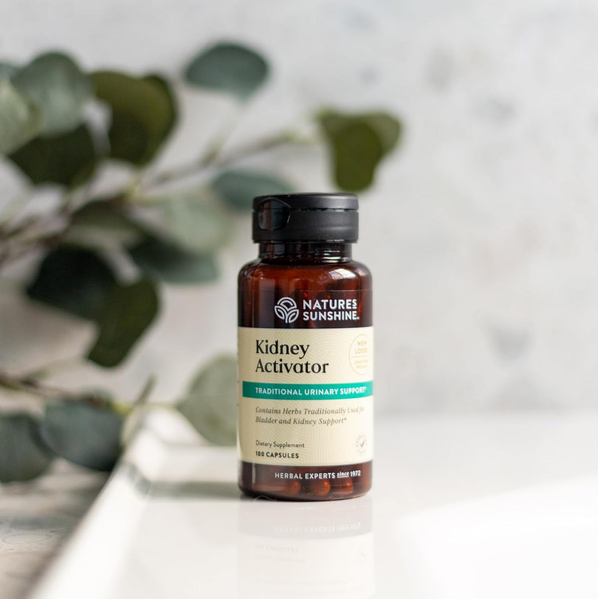 Nature's Sunshine Kidney Activator - 100 Capsules - görsel 3