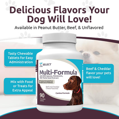 Multi-Formula Dog Vitamins for Large Dogs – 90 Beef Flavoured Chewable Tablets