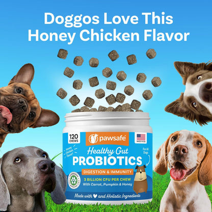 PawSafe® Dog Probiotics Soft Chews for Picky Eaters - Made in USA, 120 Count - Digestive & Gut Health Support - Natural with Pumpkin - Honey Chicken Flavour