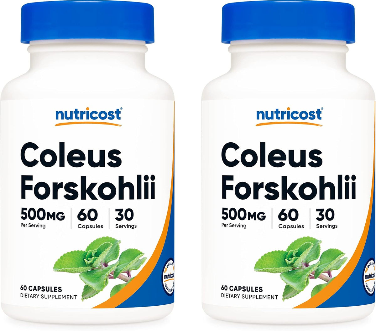 Nutricost Coleus Forskohlii 500 mg – Maximum Strength Formula (2 Bottles, 120 Capsules) - görsel 1