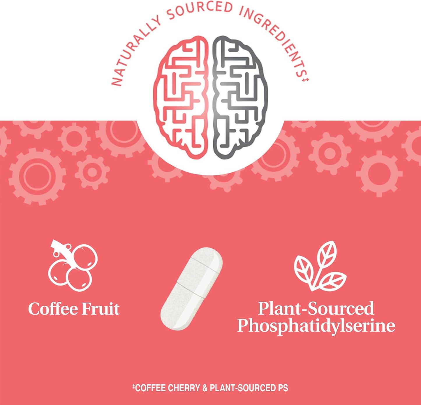 21st Century Brilliant Brain Performance Capsules - Cognitive Health Support - 30 Capsules - görsel 2