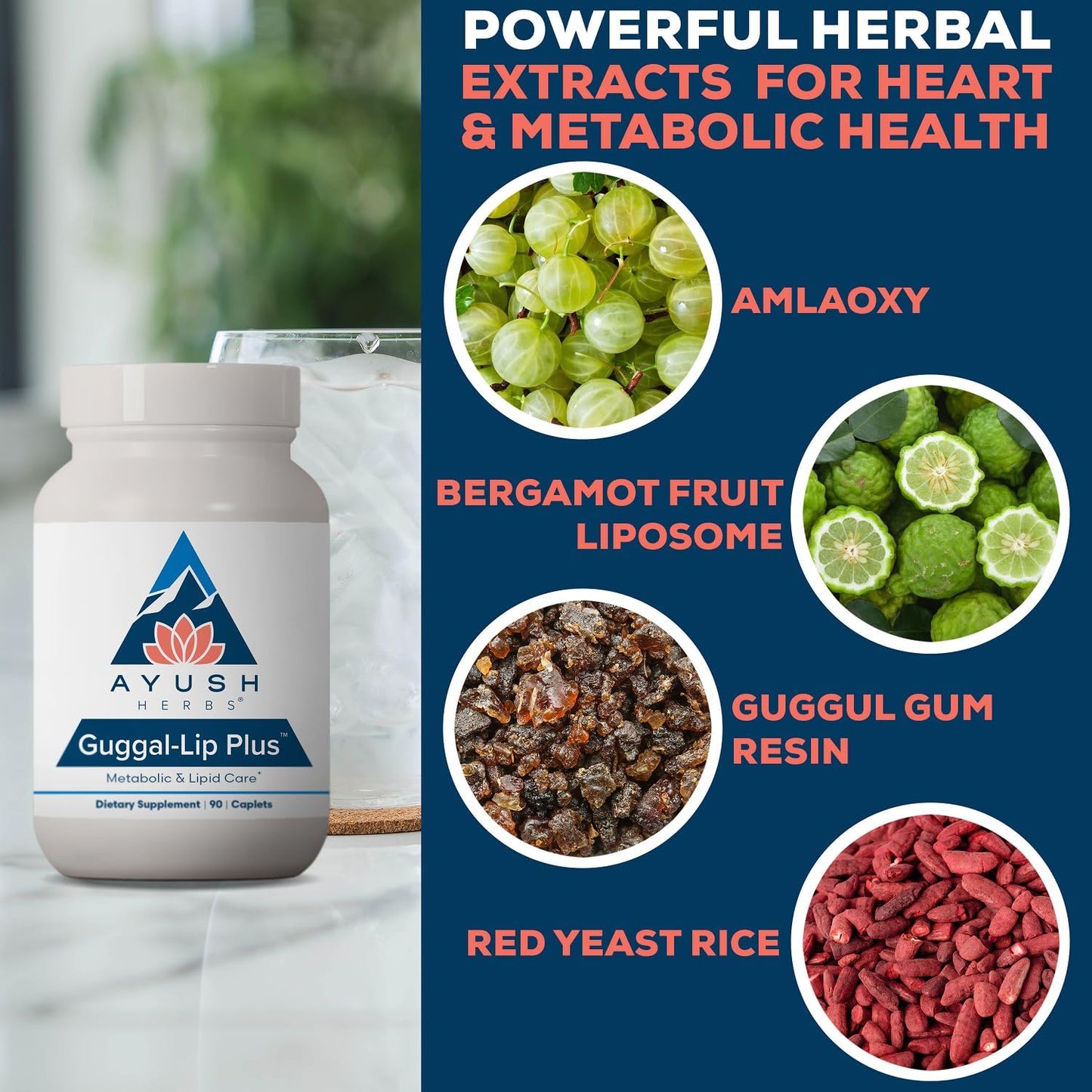 Ayush Herbs Guggal-Lip Plus - Metabolic Support Food Supplement with Guggul, Amla, and Bergamot - 90 Tablets - görsel 4