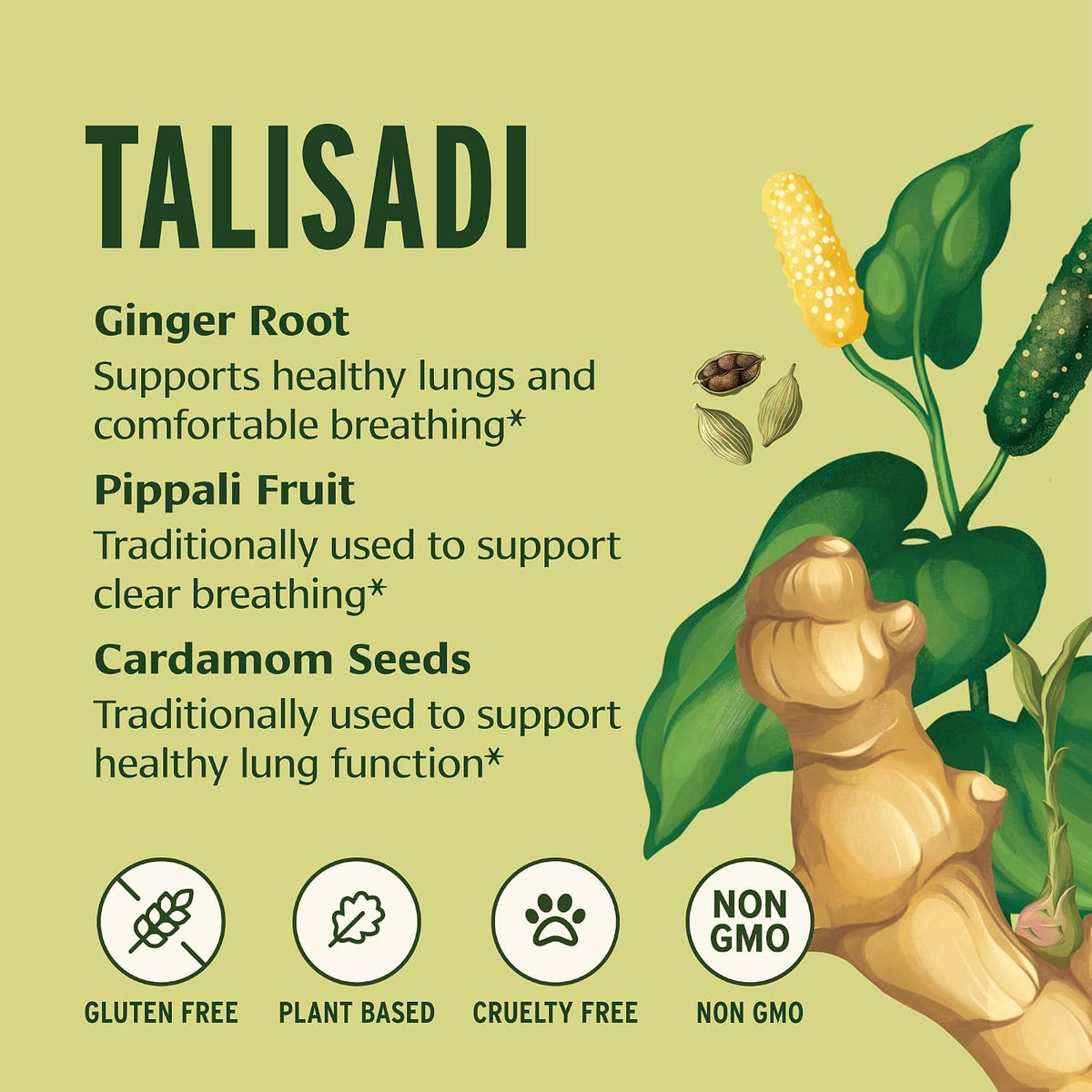 Banyan Botanicals Talisadi Powder – Organic Immune Supplement for Respiratory and Lung Support – 227g - görsel 2