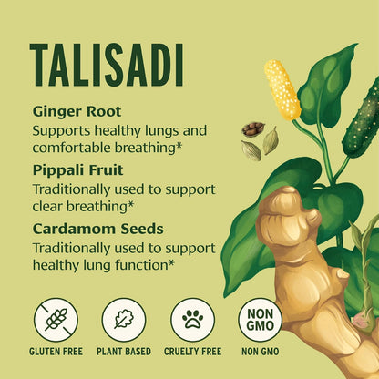 Banyan Botanicals Talisadi Powder – Organic Immune Supplement for Respiratory and Lung Support – 227g
