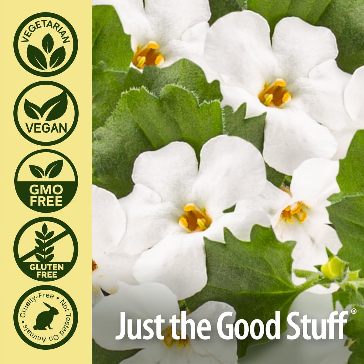 Nature's Answer Bacopa Monnieri – 500mg (90 Capsules) - görsel 5