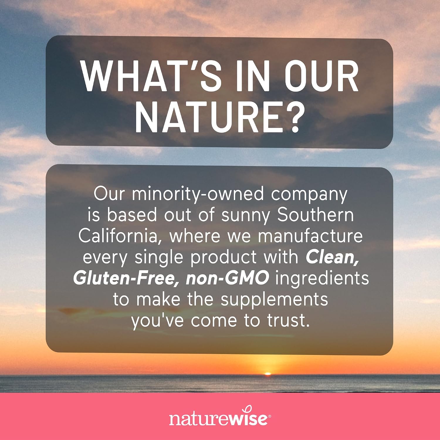NatureWise Liquid Multivitamin, Sugar-Free & Vegan, with Methylated B12 & Folate, 887 ml - görsel 10