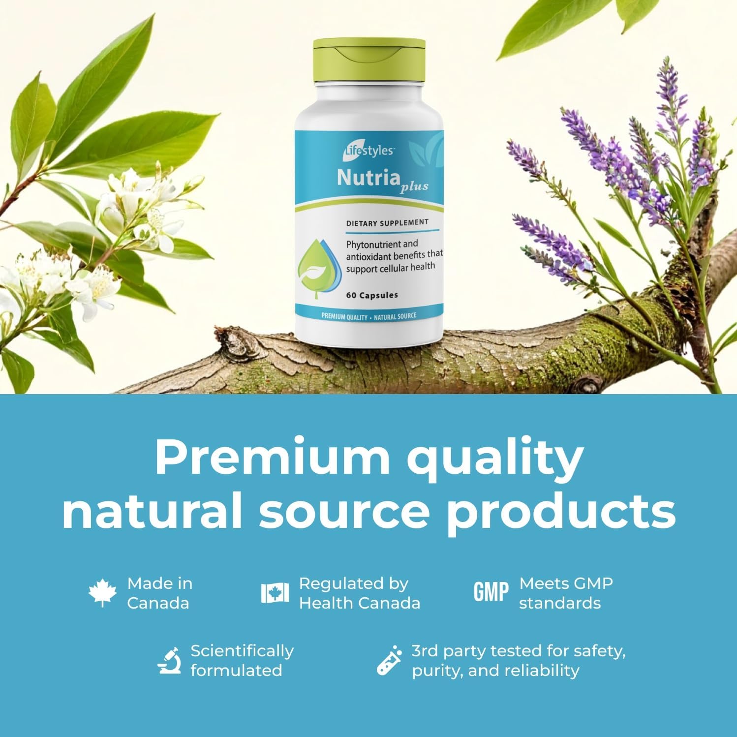 Lifestyles NutriaPlus Antioxidant Supplement - Herbal Immune Support & Multivitamin - 60 Capsules - görsel 6