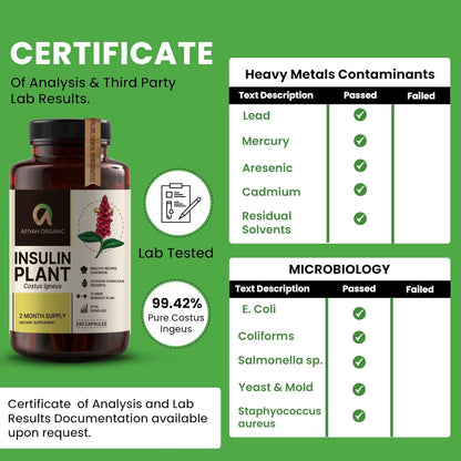 Afiyah Organic – Premium Quality Costus Igneus (Insulin Plant) Capsules – 240 Vegetable Capsules (2 Month Supply)