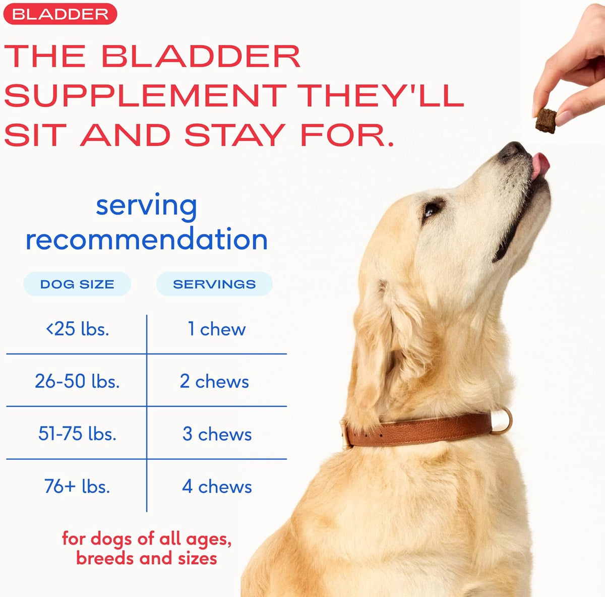 Native Pet Cranberry Supplement for Dogs - Bladder & Urinary Tract Support - 30 Air-Dried Chews - görsel 5