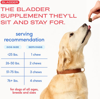 Native Pet Cranberry Supplement for Dogs - Bladder & Urinary Tract Support - 30 Air-Dried Chews