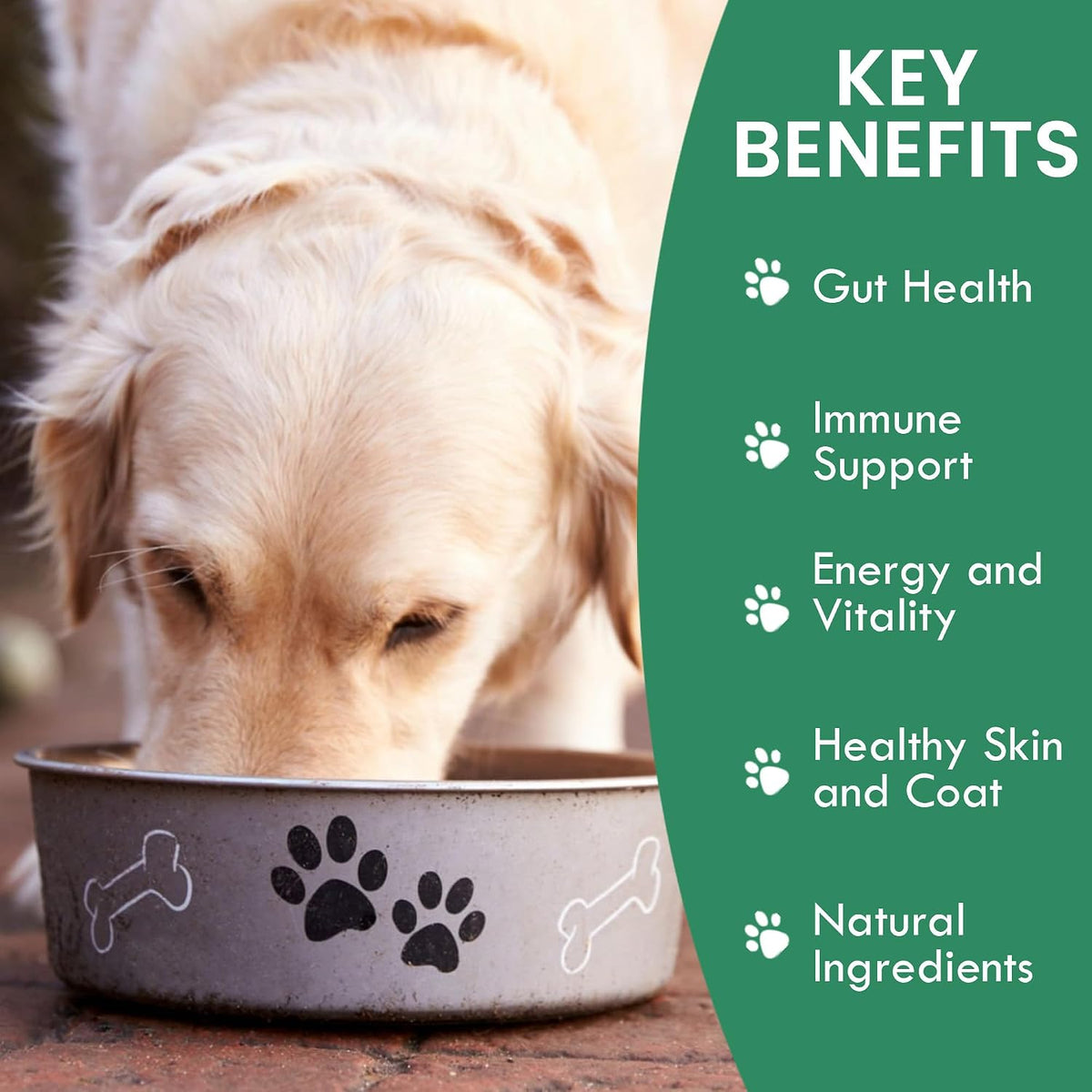 Holistic Bin Canine Gut Biome Blend - Plant-Based Dog Food Topper (50g) - görsel 2