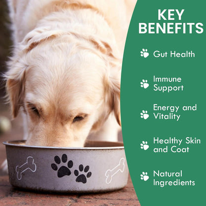 Holistic Bin Canine Gut Biome Blend - Plant-Based Dog Food Topper (50g)