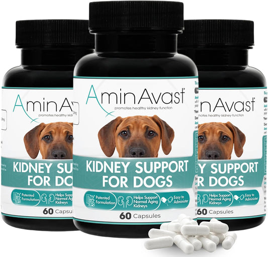 AminAvast Kidney Support Supplement for Dogs - 1000mg 3-Pack (180 Sprinkle Capsules) - Supports Normal Kidney Function