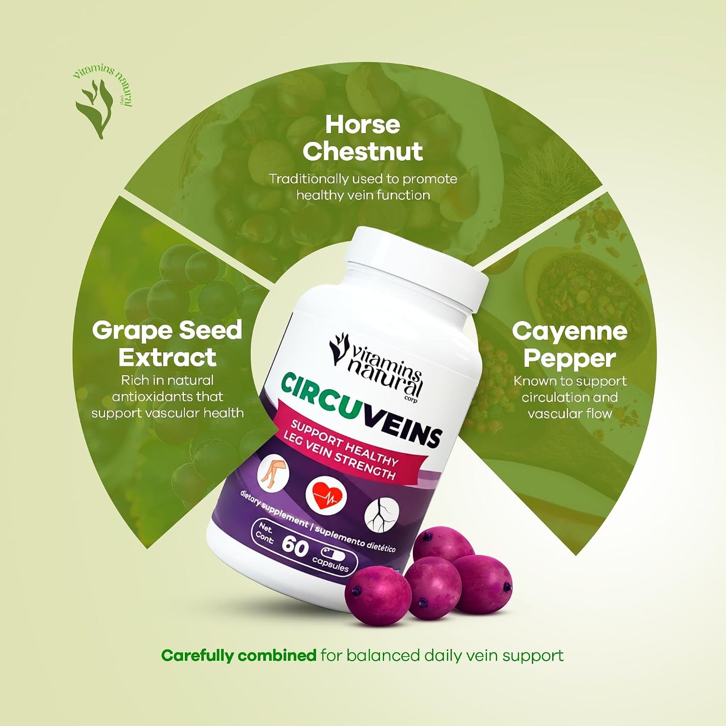 CircuVeins Circulation Support Supplement – Leg & Vein Health with Horse Chestnut, Gotu Kola, Butcher’s Broom & Grape Seed – 60 Capsules - görsel 3