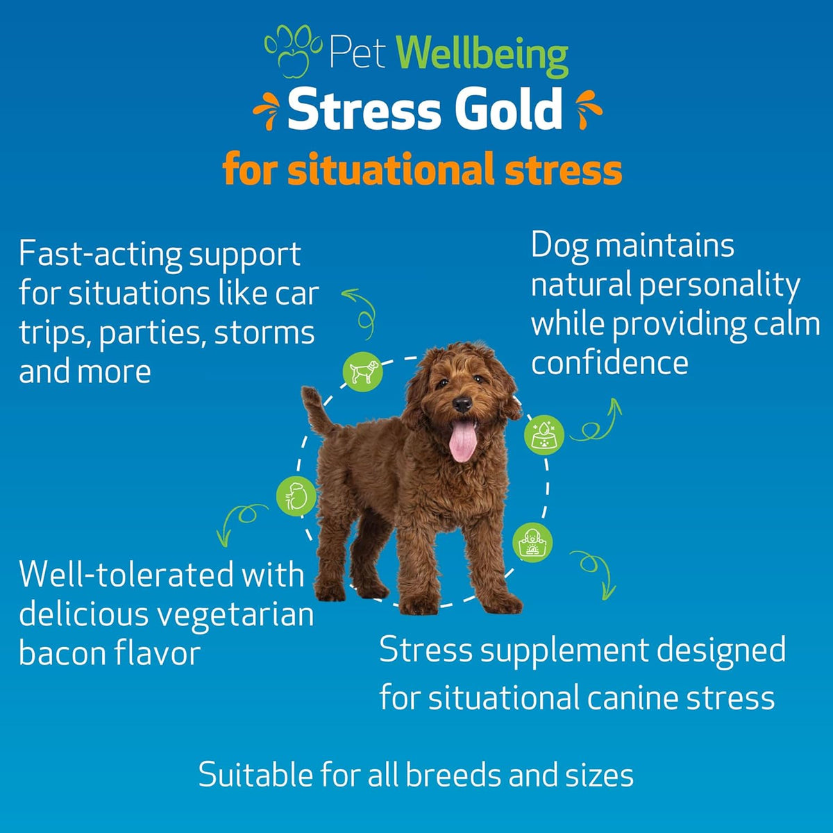 Pet Wellbeing Stress Gold for Dogs - Fast-Acting Situational Stress Relief - 2 fl oz (59 ml) Liquid Formula - görsel 2