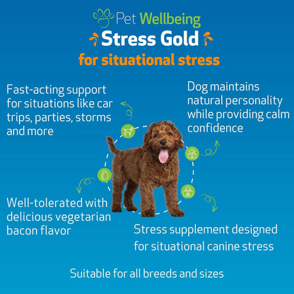 Pet Wellbeing Stress Gold for Dogs - Fast-Acting Situational Stress Relief - 2 fl oz (59 ml) Liquid Formula