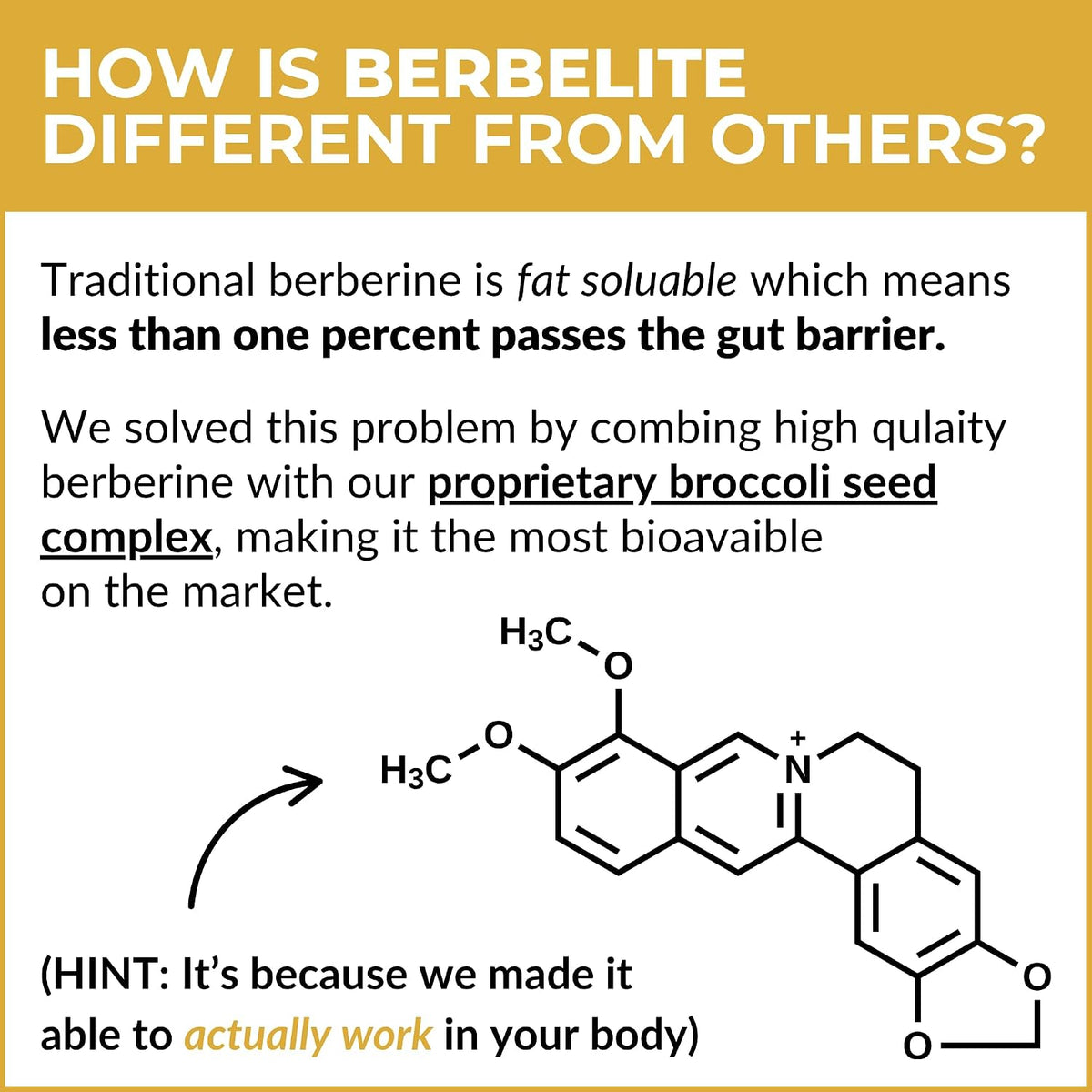 Mara Labs BerbElite - 350mg Berberine HCL with Broccoli Seed Complex - 60 Vegan Capsules - görsel 6