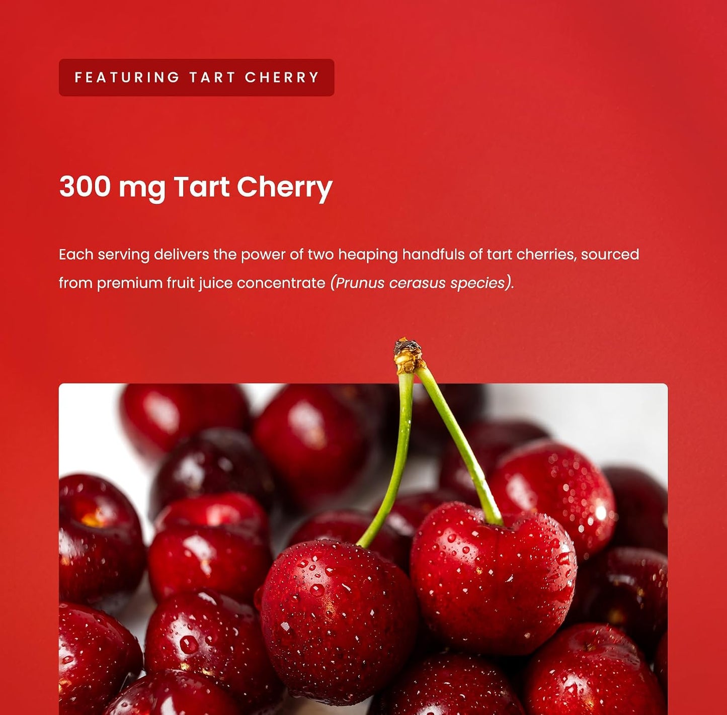 Tart Cherry Gummies with Celery Seed – 120 Count – Vegan, Non-GMO, Third-Party Tested - görsel 4