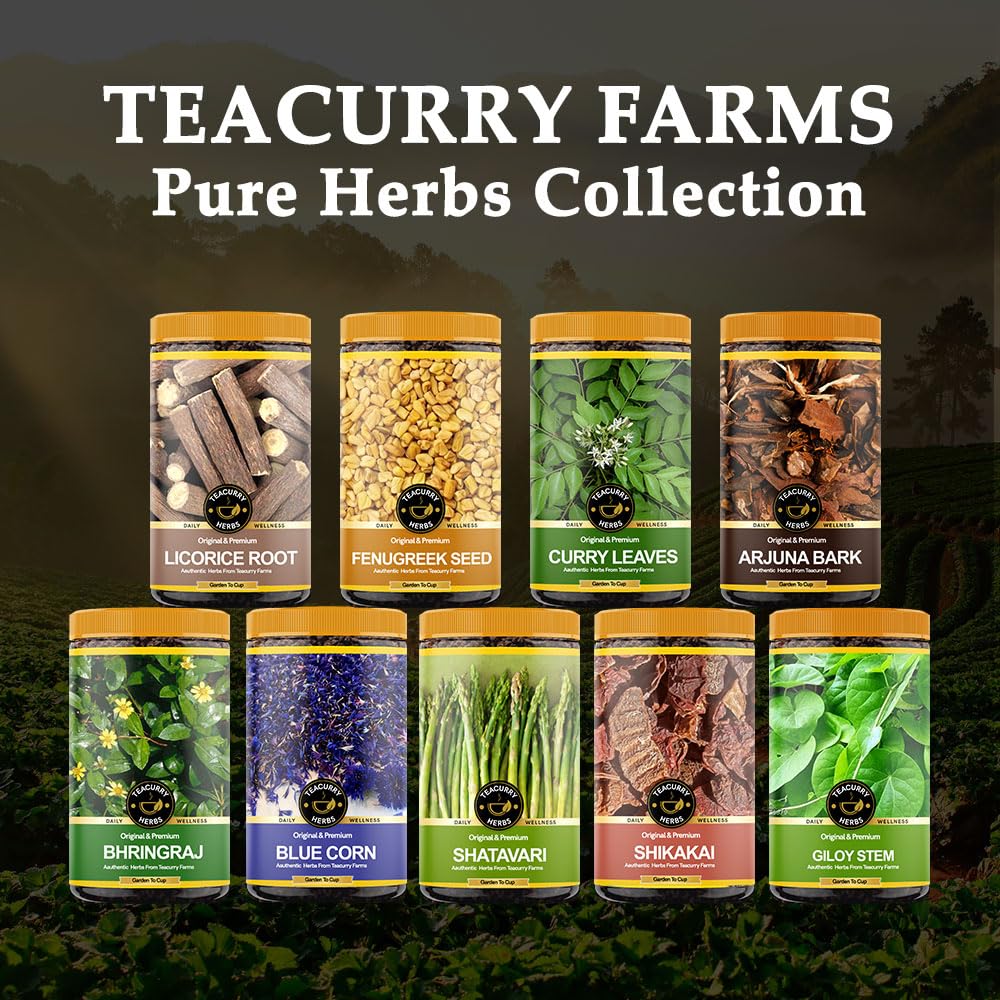 TEACURRY Giloy Sticks (50g) - görsel 5