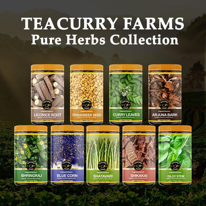 TEACURRY Giloy Sticks (50g)