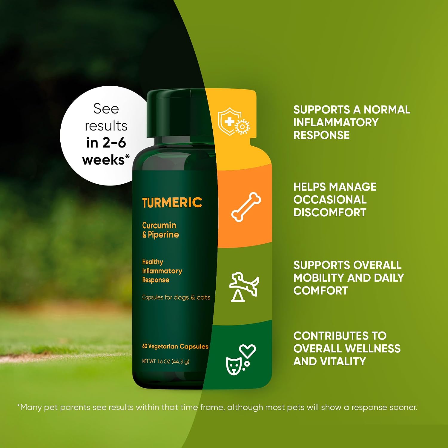 Rooted Owl Turmeric for Dogs & Cats - Curcumin Supplement with Piperine and Vitamin C, 60 Vegan Capsules - görsel 3