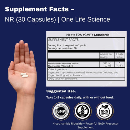 Ageless NAD+ Supplement – Nicotinamide Riboside Chloride – Supports Energy, Focus & Healthy Ageing – 30 Capsules