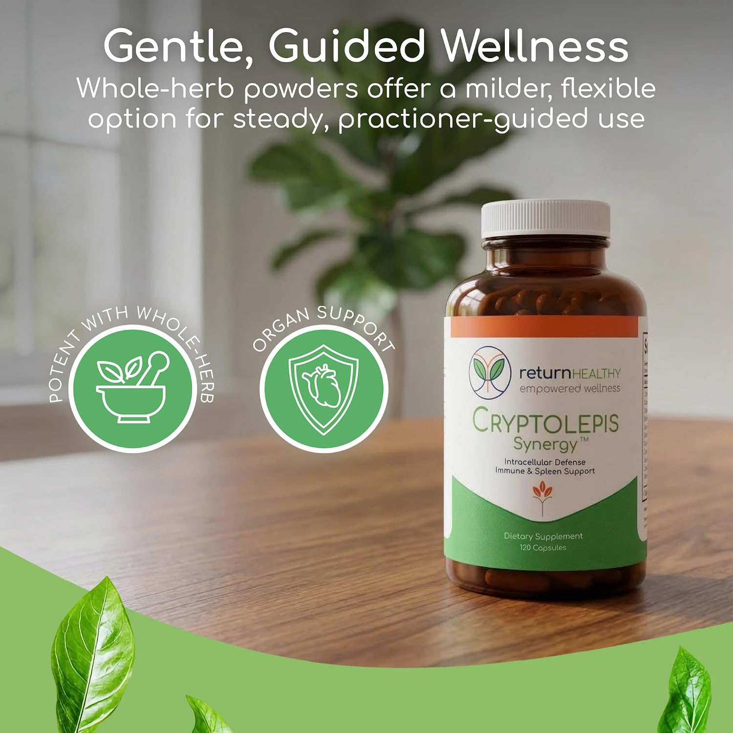 Cryptolepis Synergy – Immune Support Food Supplement, 120 Capsules - görsel 3