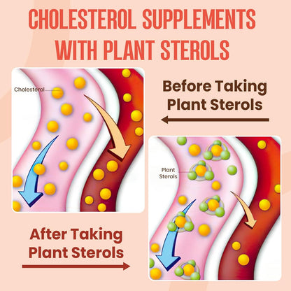 Plant Sterols & Stanols Supplement, Mixed Berry Flavour, 120 Tablets