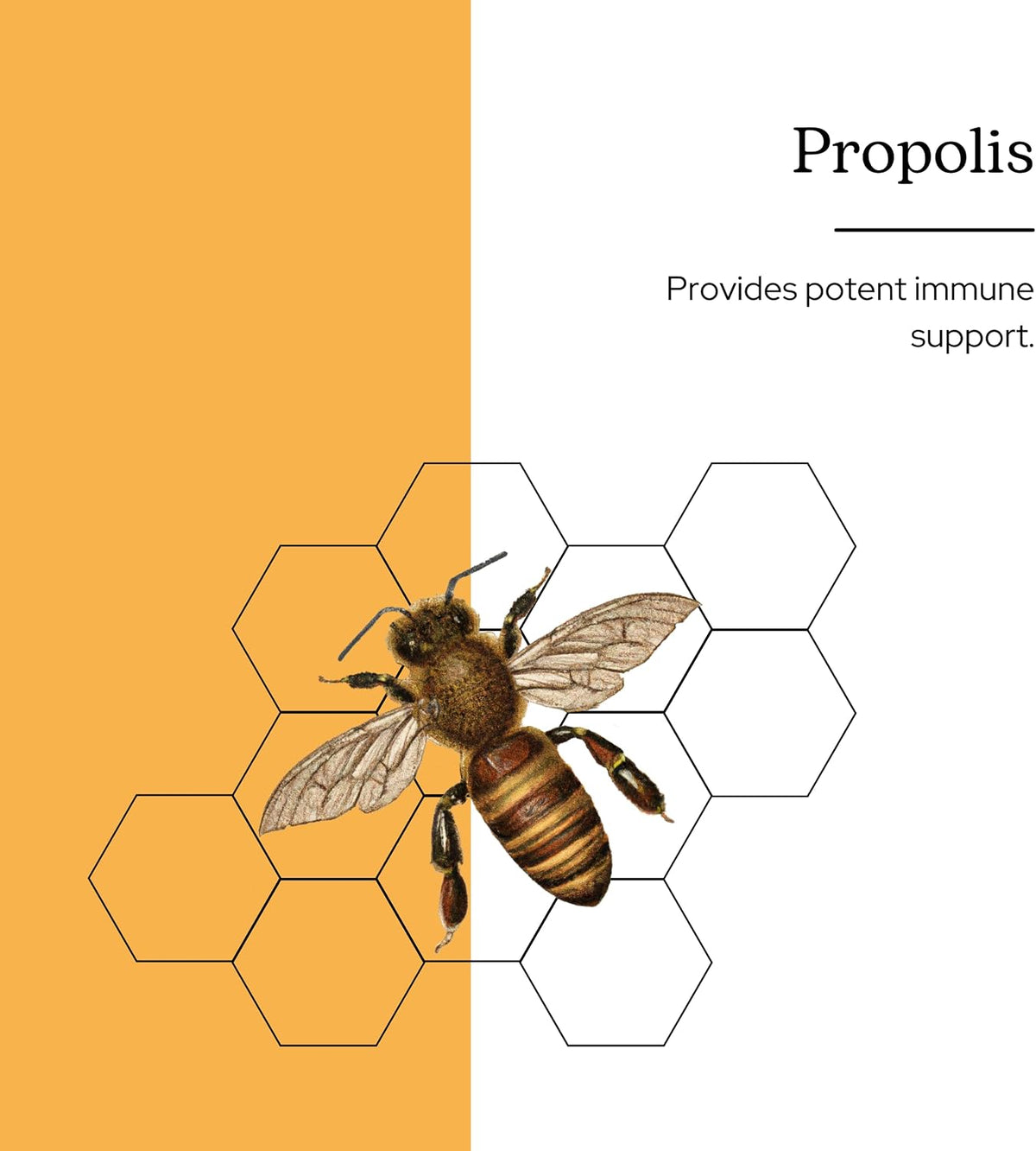 Eclectic Institute Propolis G - Orange, 60 ml - görsel 2