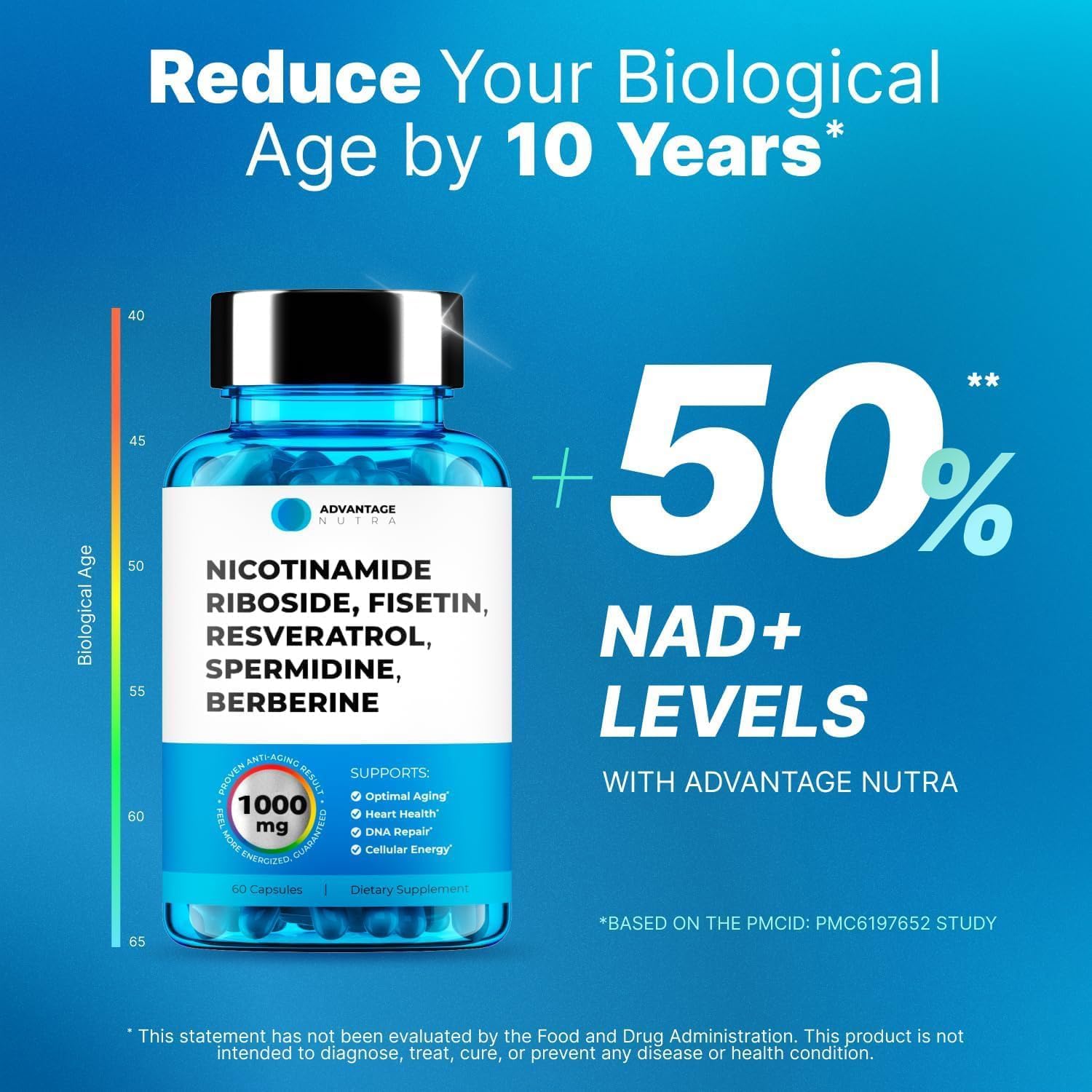 Liposomal Nicotinamide Riboside NR Supplement with Resveratrol, Fisetin, Quercetin, Spermidine, Berberine, Apigenin - NAD+ Booster 500 mg - 60 Capsules - görsel 3