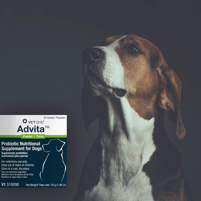 VetOne Advita Probiotic Supplement for Dogs – 30 x 1 g Packets