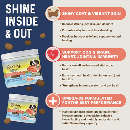 Bernie's OMG! Omegas Chews for Dogs - 5X Extra Strength DHA+EPA, Fish Oil, Healthy Skin & Coat, Allergy Relief, Joint Supplement (Pork Flavour)