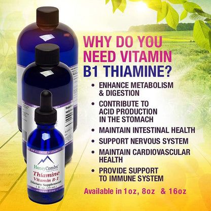 HoneyCombs Vitamin B1 Supplement (Thiamine) Liquid Drops - High Potency Thiamine B1 for Men & Women - Nervous System, Energy & Overall Health - Vegan Liquid B Vitamins (240 ml)
