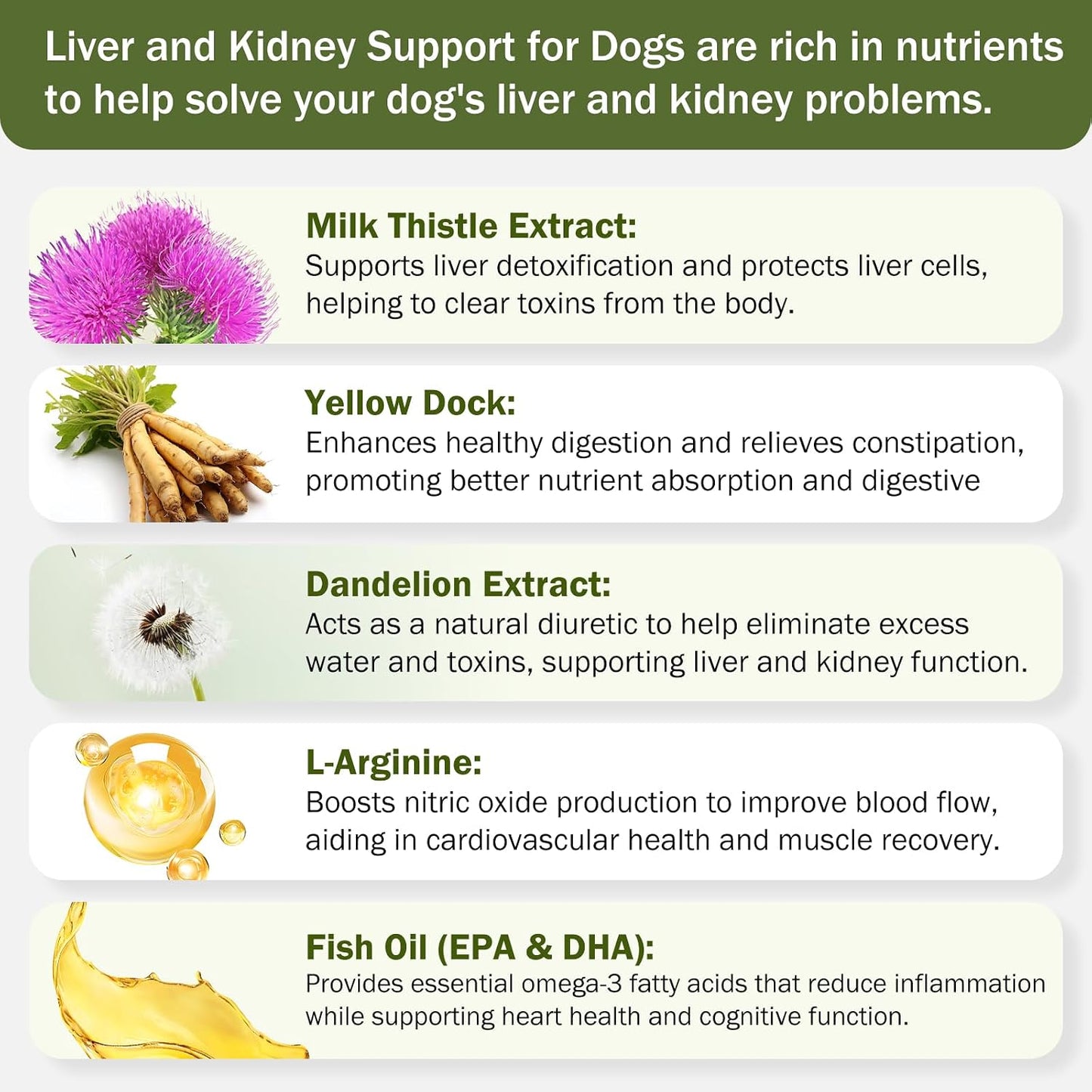 Milk Thistle & SAM-E for Dogs - Advanced Liver & Kidney Support with Silymarin, Detox Supplement - 120 Chewable Tablets - görsel 5