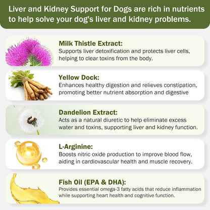 Milk Thistle & SAM-E for Dogs - Advanced Liver & Kidney Support with Silymarin, Detox Supplement - 120 Chewable Tablets