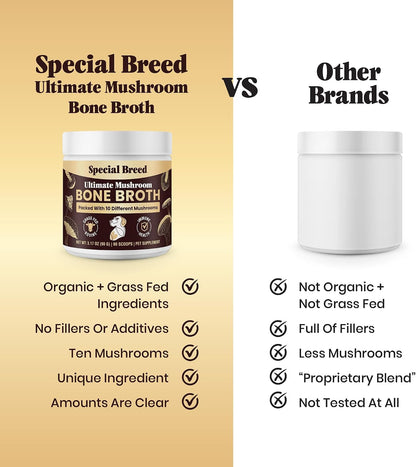 Beef Bone Broth for Dogs – High Protein Powder with Ten Organic Mushrooms and Collagen