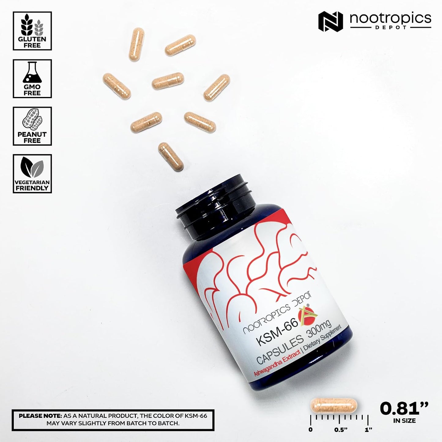 Nootropics Depot KSM-66 Ashwagandha Capsules - 300mg, 90 Count, Adaptogen for Stress Relief* - görsel 3