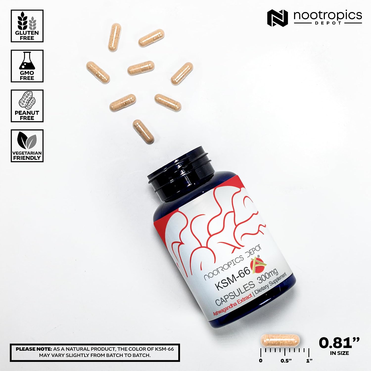 Nootropics Depot KSM-66 Ashwagandha Capsules - 300mg, 180 Count - görsel 3