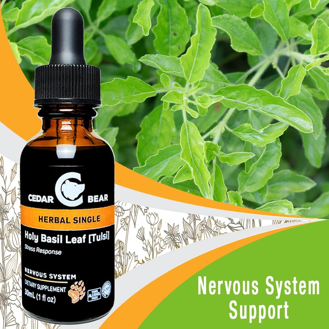 Cedar Bear Holy Basil Leaf Liquid Herbal Supplement – Traditional Adaptogen, 30 ml - görsel 2