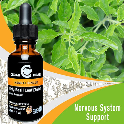 Cedar Bear Holy Basil Leaf Liquid Herbal Supplement – Traditional Adaptogen, 30 ml