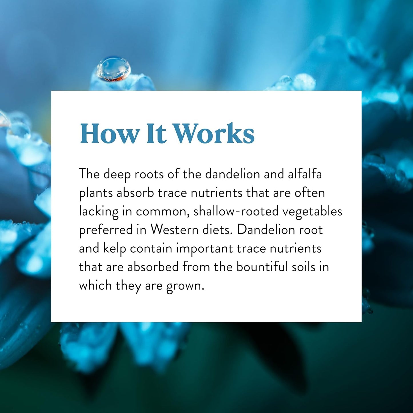 Nature's Sunshine Herbal Trace Minerals - görsel 6